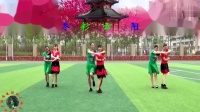 建群村广场舞双人舞《相思草》演示建群姐妹花2017年最新广场舞带歌词