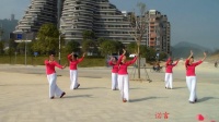 广场舞《桃花源》---表演：广西平乐县姐妹健身队
