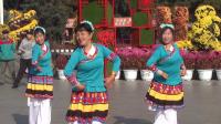 舞蹈《草原祝酒歌》—北陵英萍舞蹈团
