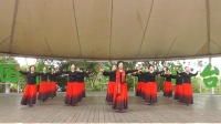 17、新疆舞《新疆手位舞》半岛花园艺雅、刘丽萍等表演