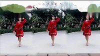 唯美家聖广场舞，歌曲《好运连连》编舞，林州芳心广场舞，2019年1月26号