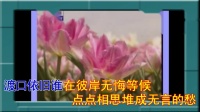 王馨 - 桃花渡口3 - 摇并广场舞 - 温柔港湾