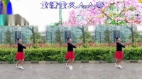 唯美家聖广场舞 歌曲《东北汉子》编舞，林州芳心广场舞欢快节奏，参加活动舞2019年5月9号