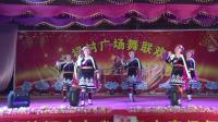 海南舞蹈队《我们苗村多美》2019上文禄广场舞晚会