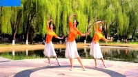 峡谷视频广场舞《月光下的凤尾竹》傣族舞