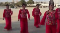 泌阳羽化古城队山花朵朵开团队版（1）广场舞教学视频