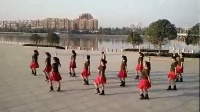 泌阳羽化古城队祝酒歌团队版（1）广场舞教学视频