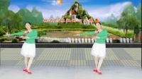 感悟人生广场舞《北京的金山上》