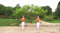 邯郸学步桥新月广场舞健身操特别的爱给特别的你