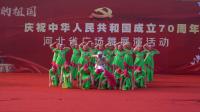 舞蹈《花儿与少年》邢台市代表队 河北省广场舞展演活动