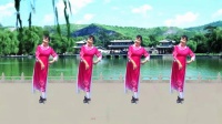 《旗袍女儿情》正背面演示与教学 编舞 雨夜 湖南乐哈哈广场舞（113）摄影演示制作 乐哈哈