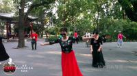 广场舞《梦见你的那一夜》由北京紫竹院紫竹情舞蹈队表演