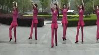 J 广场健身舞 天下的姐妹 含动动背面示范