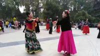 艳子老师与湘江老师11月9日于莲花池广场共舞