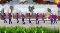 2014倾城教学田格格广场舞  马背上的太阳  团队版
