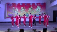 天安龙尾舞队《山河美》大坡村1.17庆祝小年广场舞齐齐聚联欢晚会