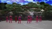 最羞花之红牌楼广场舞健身队  大吉大利中国年