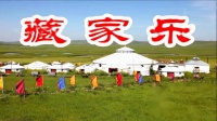 丽所能及广场舞《藏家乐》藏族舞 集体附背面
