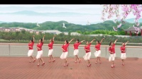 高安锦江外滩广场舞团体版版 《乌来山下一朵花》