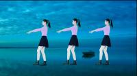 精选广场舞《负心的人》32步弹跳步子舞，简单易懂适合大众健身.mp4