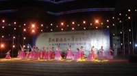2020昌江县广场舞比赛（2）