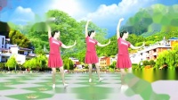 大自然广场舞《梅花泪》网红32步改编附分解