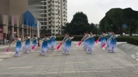 兰子广场舞《中国茶》15人变队形