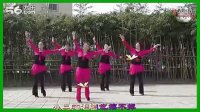 紫蝶广场舞骑车去拉萨www.93gcw.com 提供高清广场舞视频下载