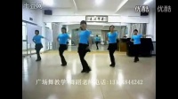 广场舞蹈视频大全之《自由飞翔》教学大全完整版 [超清HD]