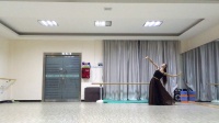 李莹 蒙族舞《迷途的羔羊》广西玉林创艺舞蹈工作室