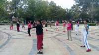 广场舞，新沂蒙山小调，临沂市人民公园广场舞队表演
